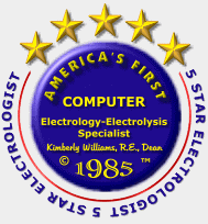 Boston Electrolysis® logo